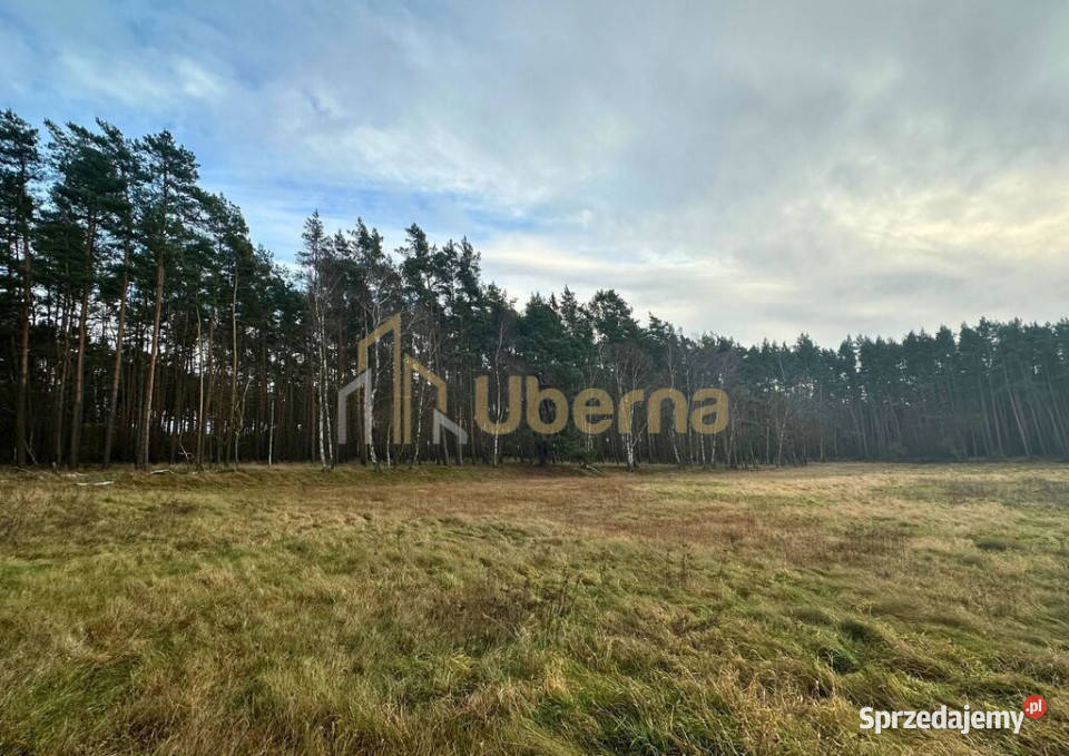 Działka rolna GmGoleniów na sprzedaż