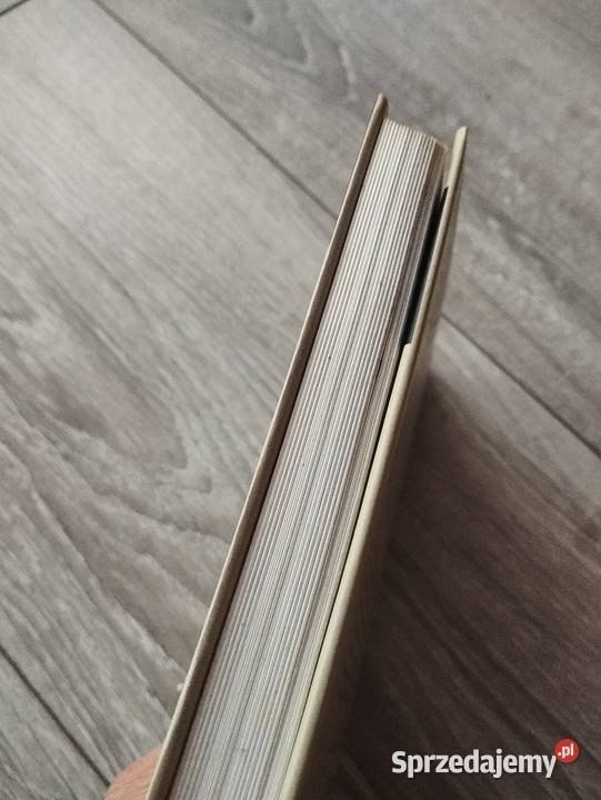 julita i huśtawki hanna kowalewska Poznań