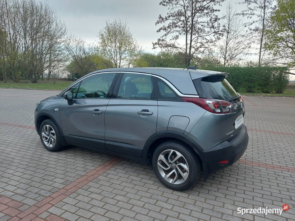 Opel 2017 Gołuchów