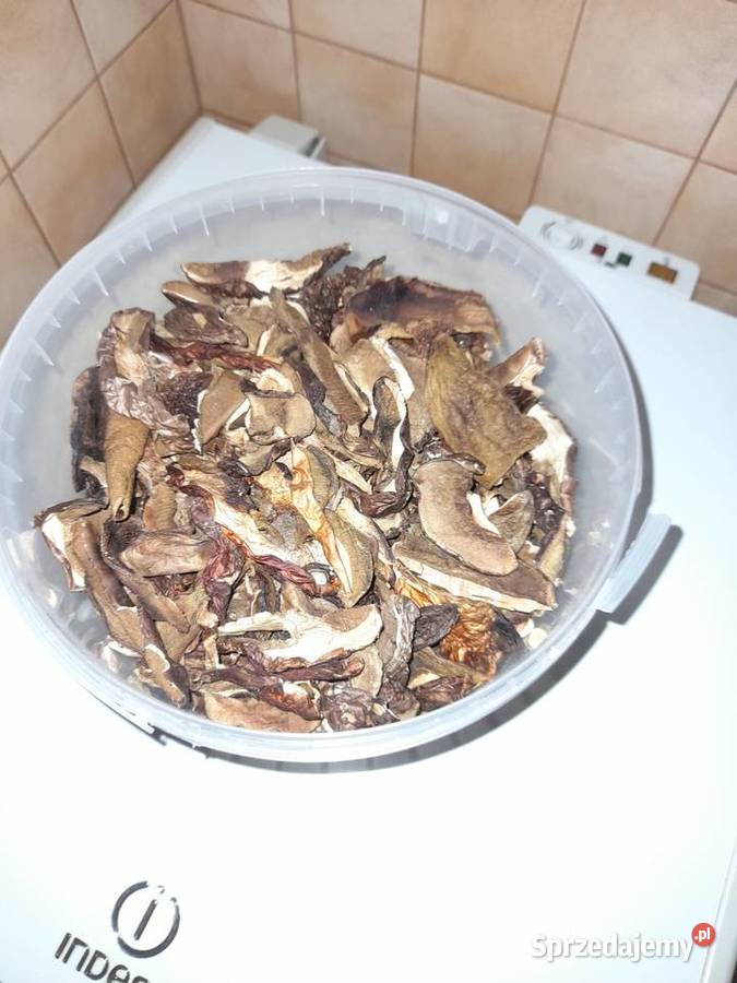 Suszone grzyby tegoroczne Toruń sprzedam