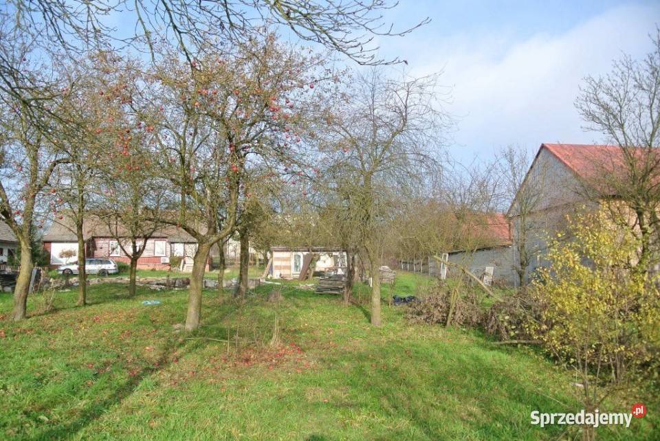 Grunt 4608m2 Oblęgór Sprzedaż świętokrzyskie sprzedam