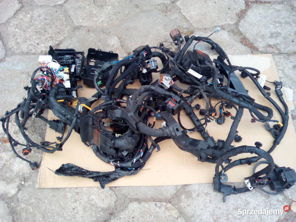 Kia Soul II Wiązka Silnika Automat 16 GDI Turek