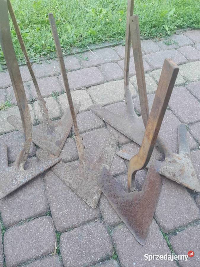 Redlice pazurki opielacza gesie stopki sprzedam
