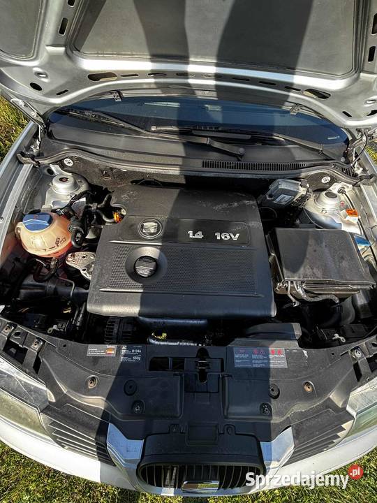 SEAT IBIZA III 14 Benzyna 2002 światła przeciwmgielne Seat Haczów