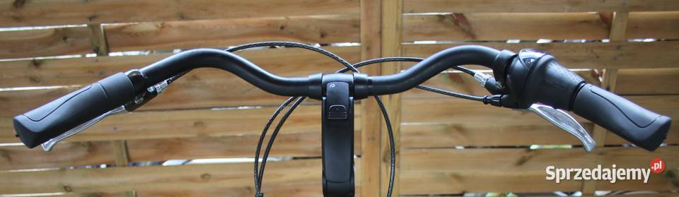 Rower męski Batavus Wayz H65 I inne rowery mazowieckie Milanówek