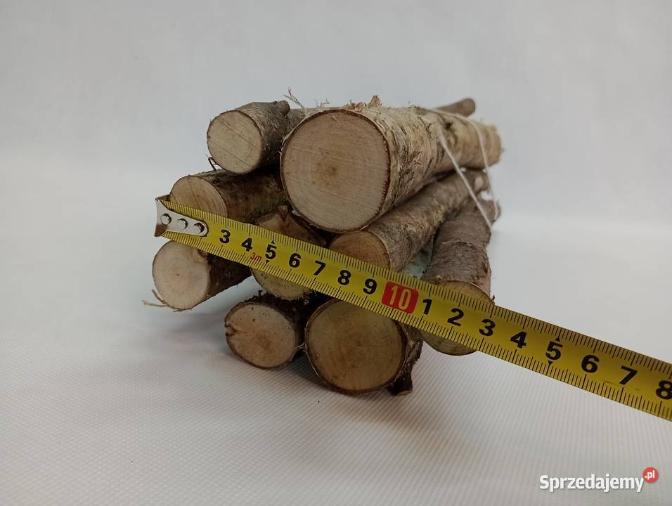 PATYCZKI BRZOZOWE 50 10 KOŁKI Z BRZOZY BRZOZOWE lubuskie Żagań