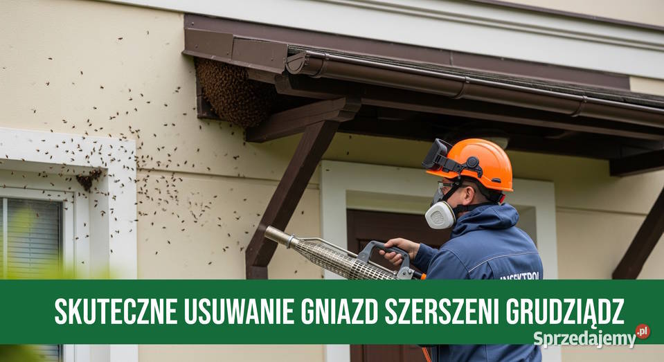 Zwalczanie Szerszeni Grudziądz Usuwanie Gniazd