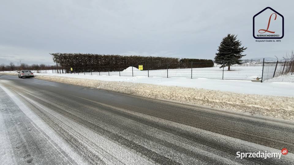 Dzierżawa Działka usługowa 45 ar Stary Sącz