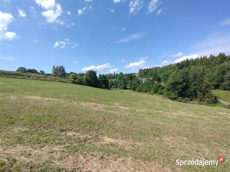 Działka rolna 034ha Binarowa Sprzedaż małopolskie