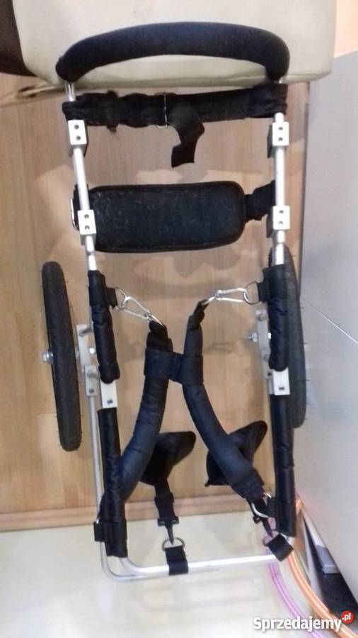 Wózek rehabilitacyjno inwalidzki psa Szczecin