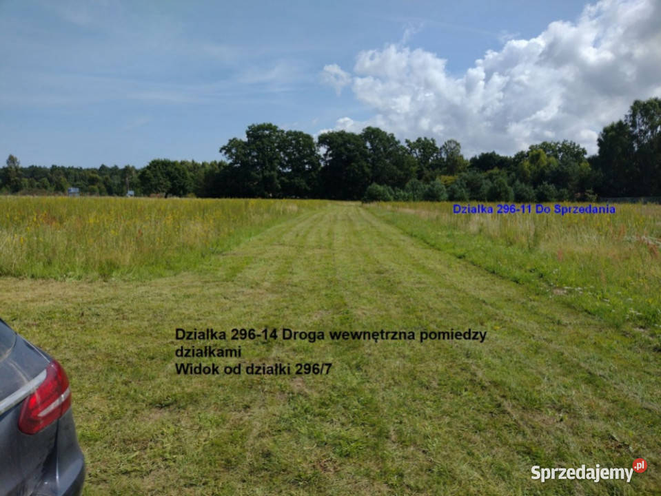 Sprzedam działki w Sasinie koło Łeby budowlana pomorskie