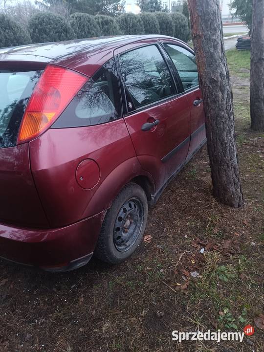 Ford focus Bykowszczyzna