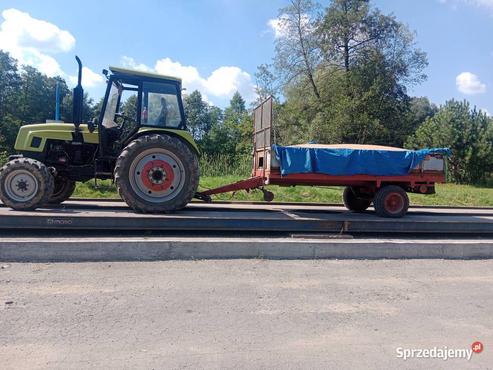 Ltz 60 ab tornado MTZ Belarus Belarus Michałowice