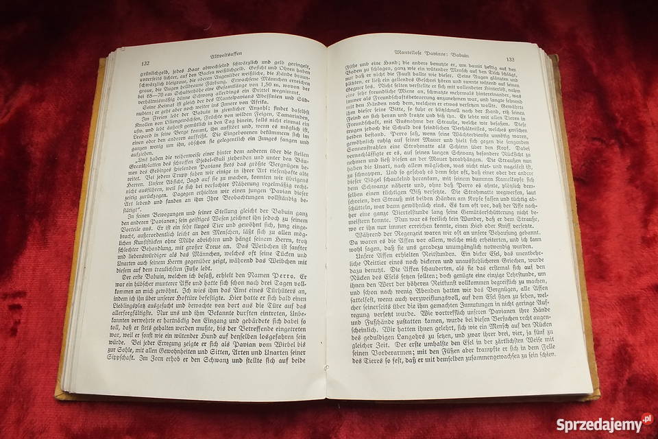 Stara niemiecka książka powieść z 1926 roku Żary