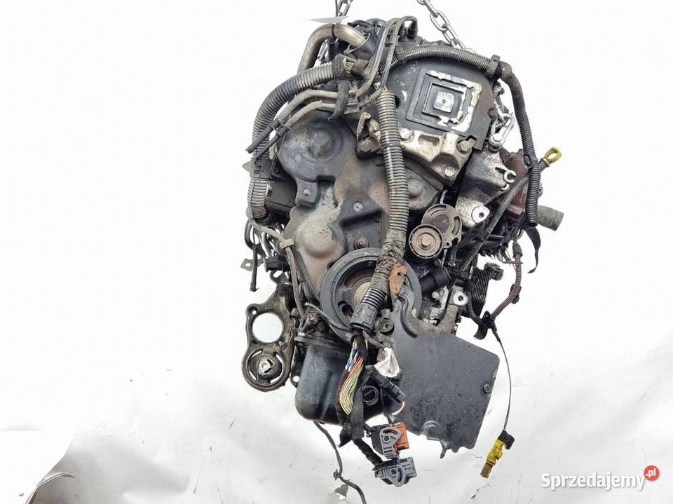 SILNIK KOMPLETNY PEUGEOT 206 DV4TD Lipno