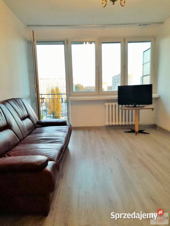 wynajmu mieszkania Łódź Rojna 383 metry