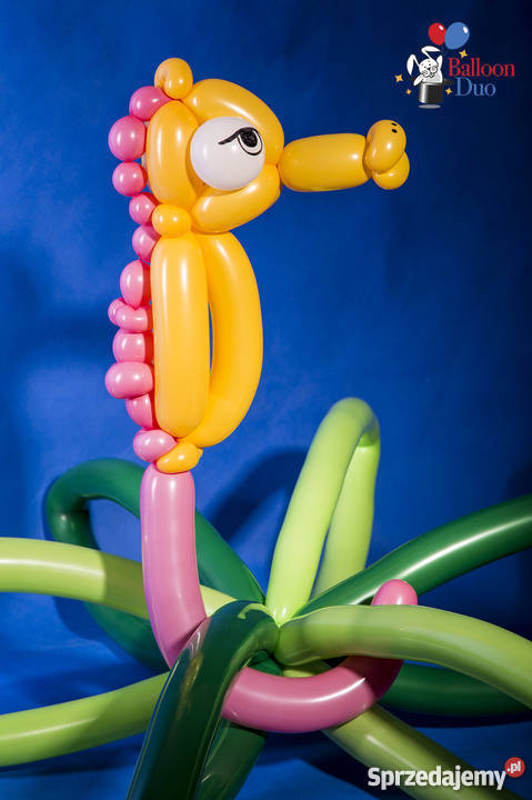 Balloon Duo Ekologiczno Przyrodniczy Teatrzyk Muzycy i artyści Warszawa