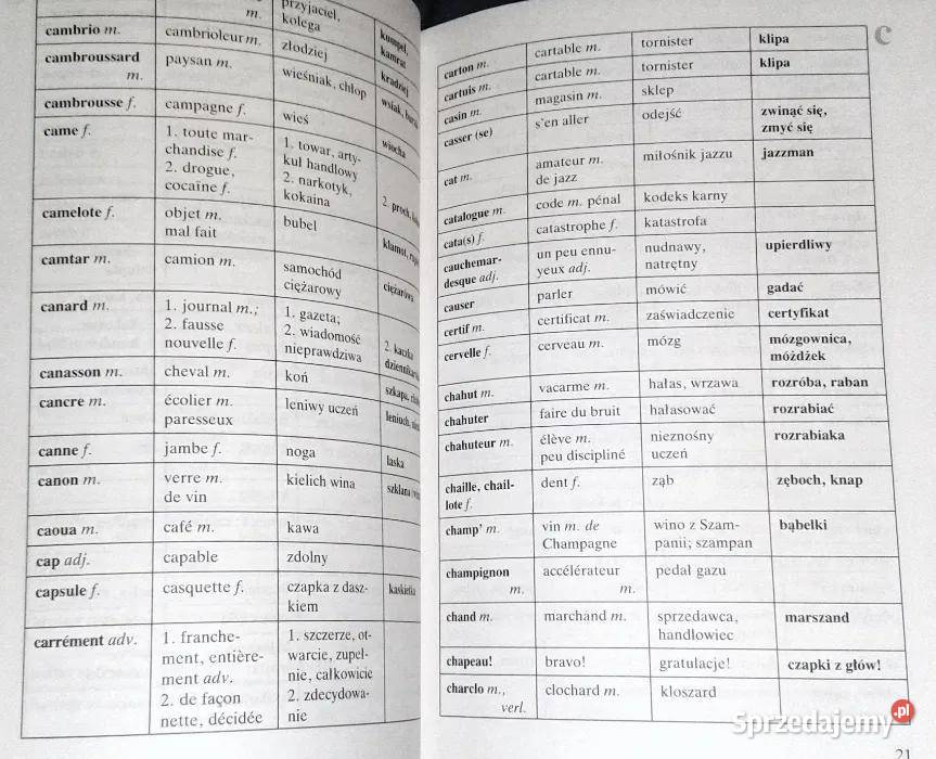 Le Ptit Argotier Słownik wyrazów potocznych i Rok wydania 1995 Chełm