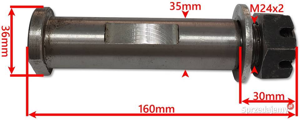 SWORZEŃ DYSZLA 160x35 M24 D50 ZABEZPIECZENIE Solec Kujawski sprzedam