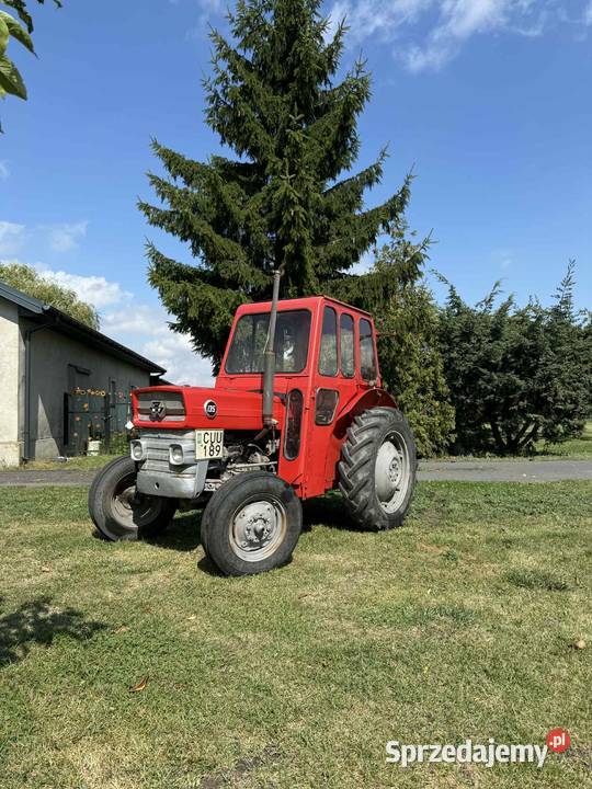 Massey Ferguson 135 Chodecz sprzedam