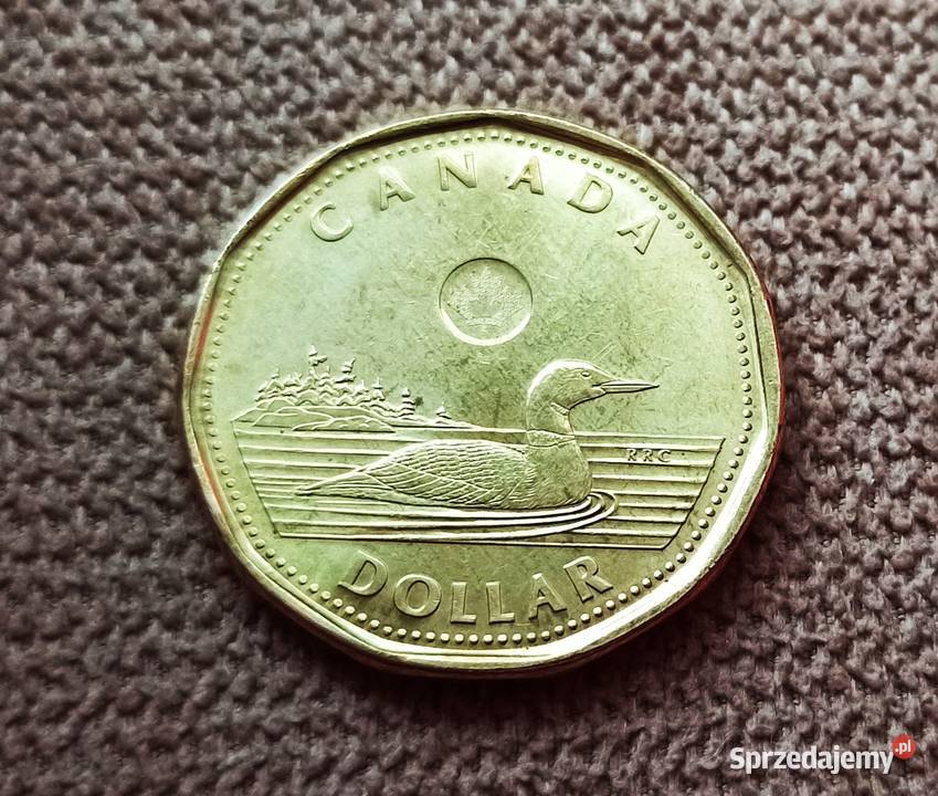 Moneta 1 kanadyjski 1996 r Wrocław