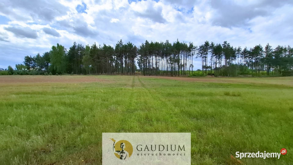 DUŻA DZIAŁKA ROLNA Z LASEM MĘCIKAŁ gm Brusy utwardzona
