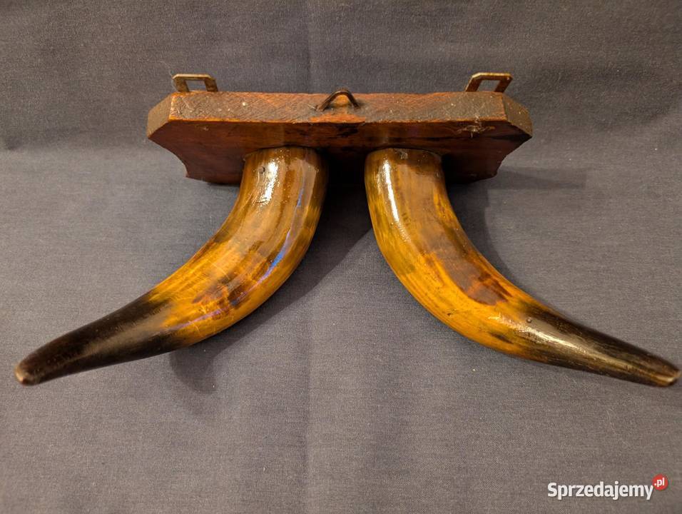 Vintage Wieszak Ścienny Polerowane Rogi Design wielkopolskie Piła