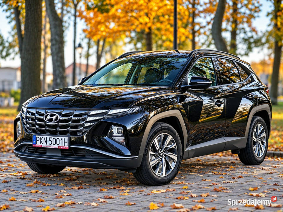 Hyundai Tucson IV 2020 SUV Sadlno sprzedam