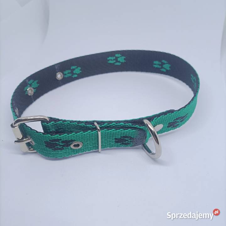 Obroża psa 25mm65 Dla psów Gorzów Wielkopolski sprzedam