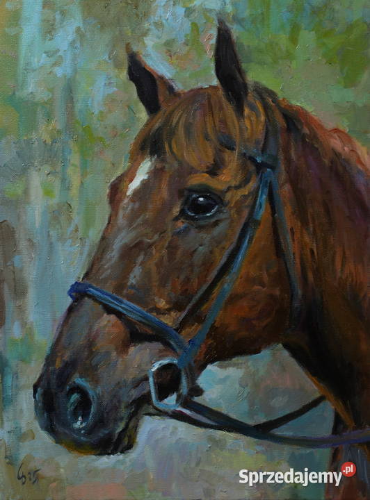 Obraz olejny Koń 30x40 podkarpackie Strzyżów