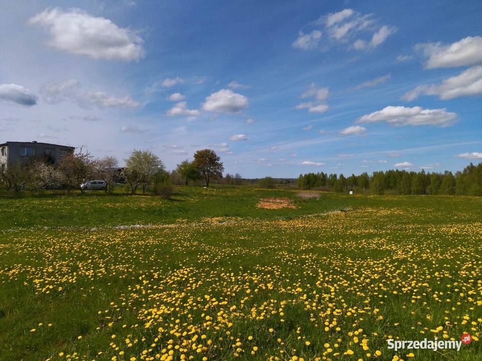 Działka rekreacyjna z możliwością zabudowy 501m2 Sprzedaż Raj sprzedam