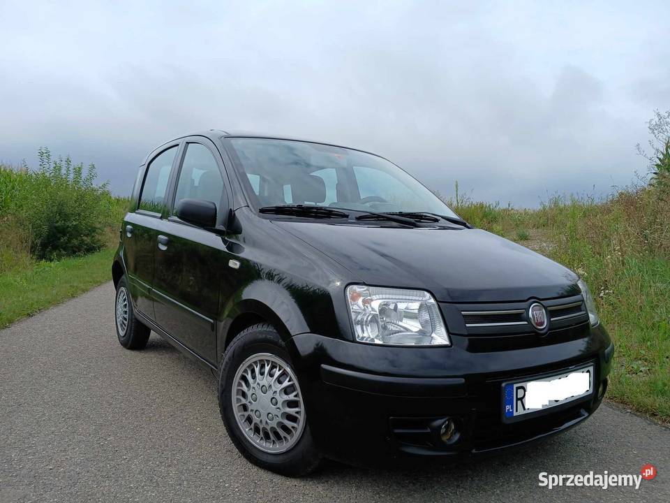 Fiat Panda 2009 Klima Wspomaganie 12 benzyna nieuszkodzony Przeworsk sprzedam