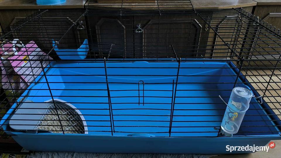 Duża klatka królika innego gryzonia 100 x 50 x