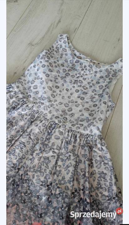 Sukienka dziewczęca Next Next Olsztyn