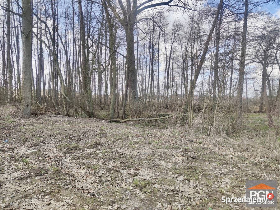 Do sprzedaży działka Wolin Boczna 6470m2 zachodniopomorskie