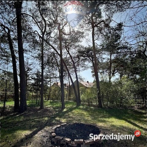 Unikatowy dom do własnej aranżacji