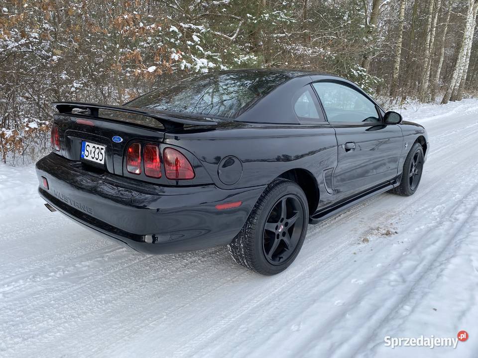 Ford Mustang SN95 manual Chomentów-Szczygieł