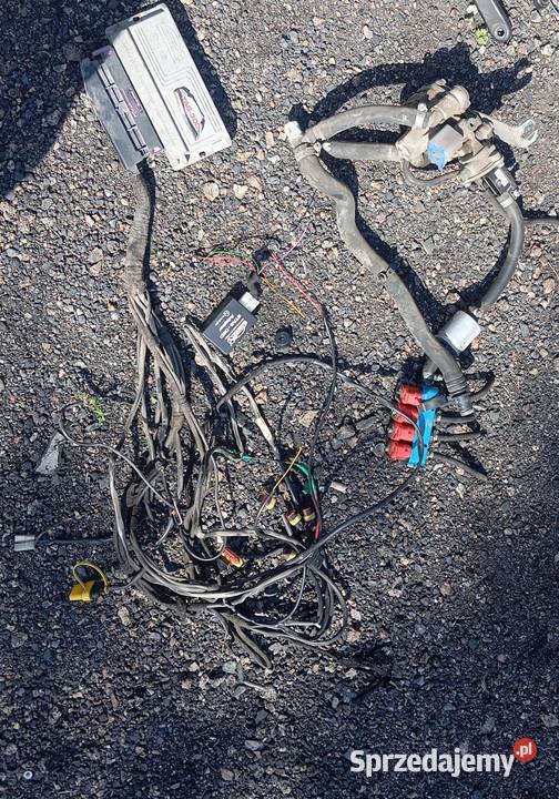 Instalacja LPG stag 3004 Łódź