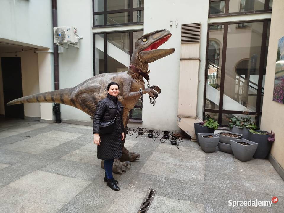 Dinozaur Raptor strzelnica Oleśnica