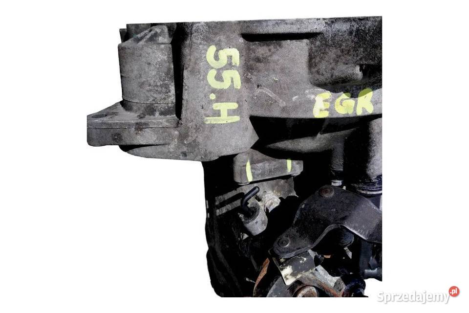 BEZPIECZNY ZAKUP SZYBKA DOSTAWA 55H Włoszczowa