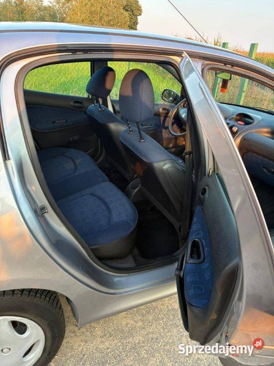 Peugeot 206 2002 r 176 gotowy do jazdy 1400cm3 Cierpice