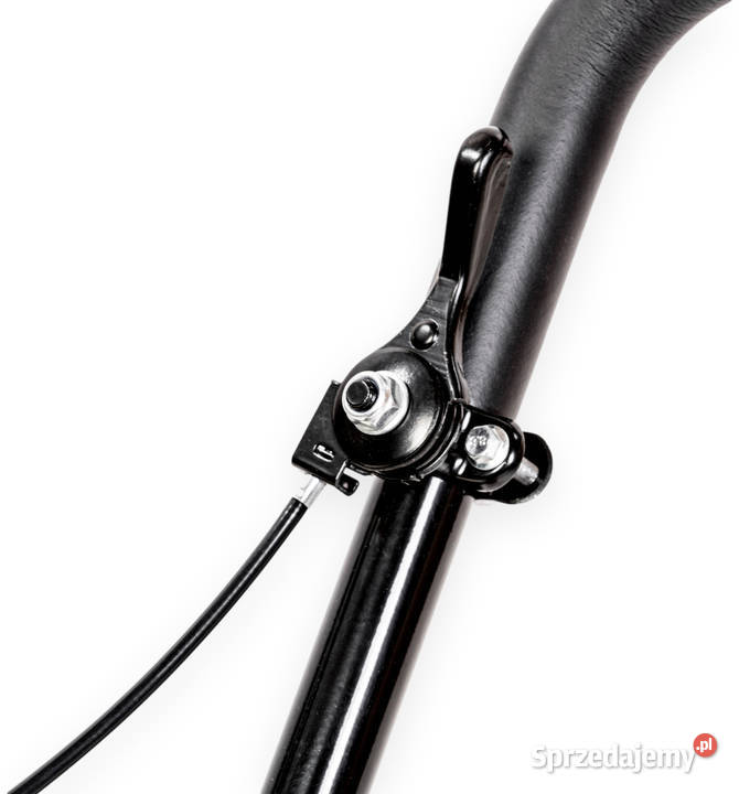 Zagęszczarka spalinowa Cedrus ZG90LF Opalenica