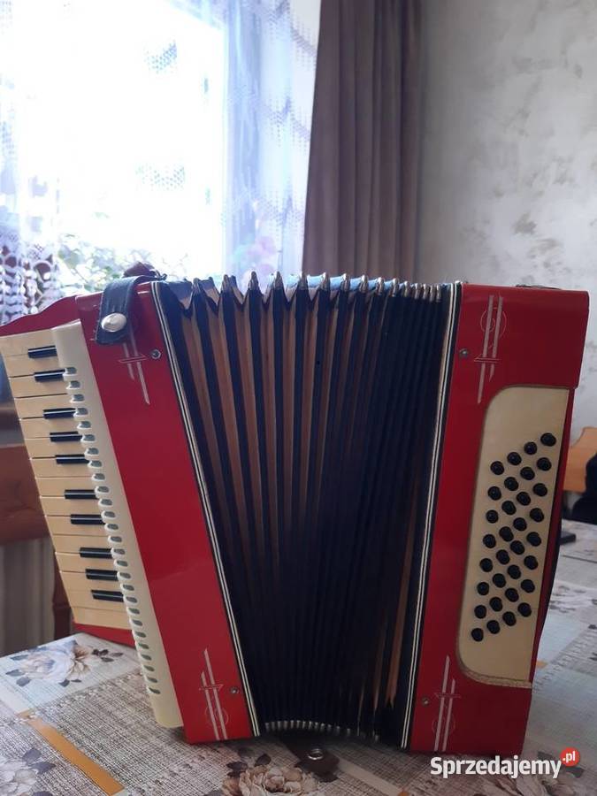 Akordeon 32 bas Konina