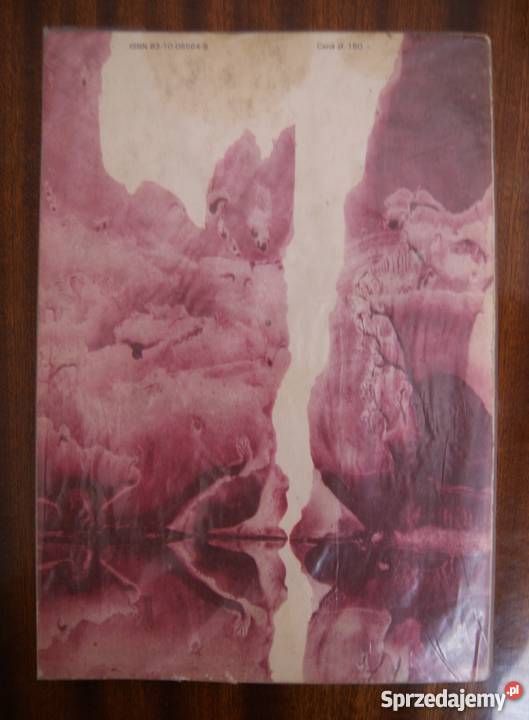 Wiktor Niedzicki Tajemnice Ziemi lubelskie sprzedam