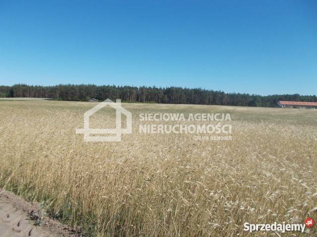 Działka 14138m2 14138m2 sprzedam
