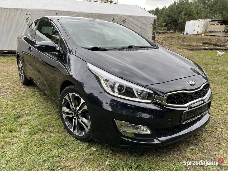 Kia Proceed Benzyna Niski Przebieg lubelskie Poniatowa