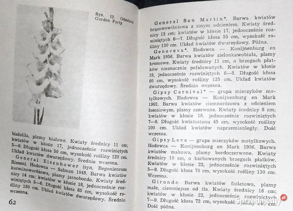 Mieczyki Barbara Grabowska Książki i Podręczniki lubelskie