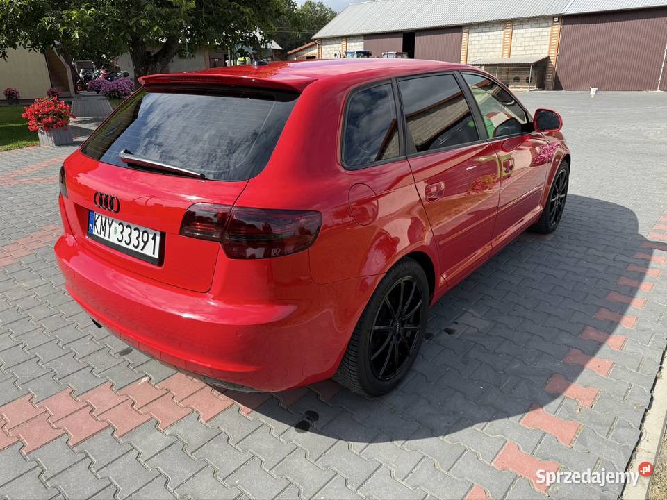 Audi A3 8P lift 2010 Wojsławice