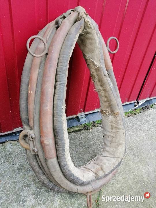 homonta konia stare Brzozów