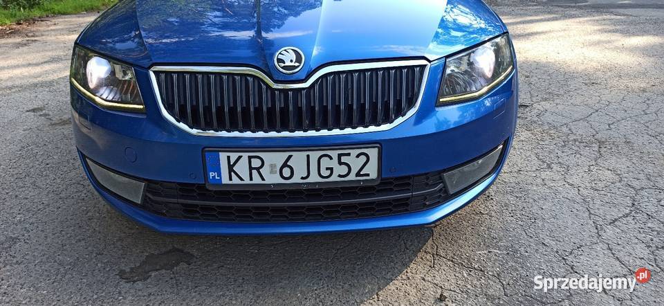 Krajowy Elegance Pakiety Amazing i Dynamic Olkusz